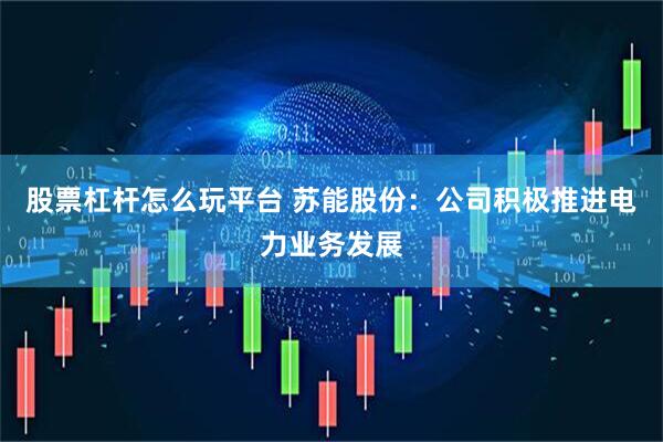 股票杠杆怎么玩平台 苏能股份：公司积极推进电力业务发展