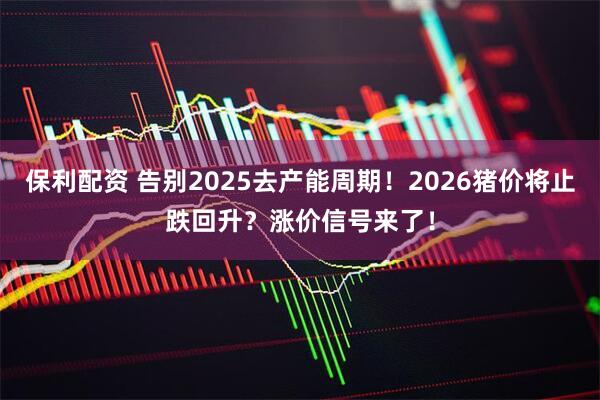 保利配资 告别2025去产能周期！2026猪价将止跌回升？涨价信号来了！